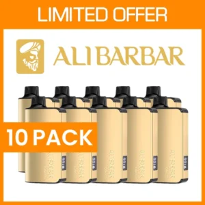 10 PACK – ALIBARBAR INGOT – 9000 PUFFS