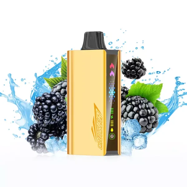 JNR Cruiser 12000 Puffs – Blackberry Ice
