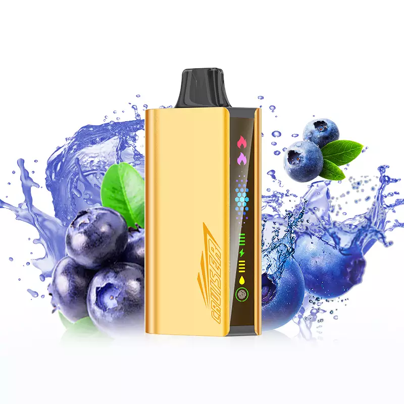 JNR Cruiser 12000 Puffs – Blueberry Blast