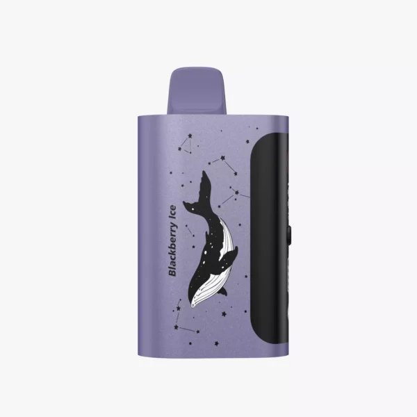 PICCO STAR 40000 Puffs – Blackberry Ice