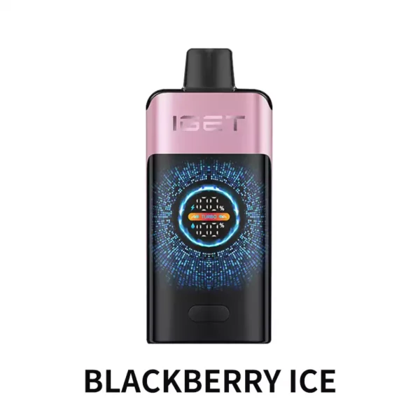 IGET ONE 12000 Puffs – Blackberry Ice