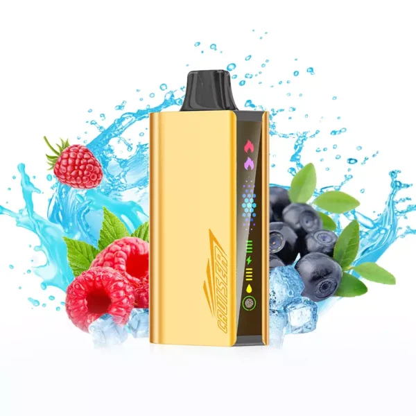 JNR Cruiser 12000 Puffs – Blueberry Raspberry Ice