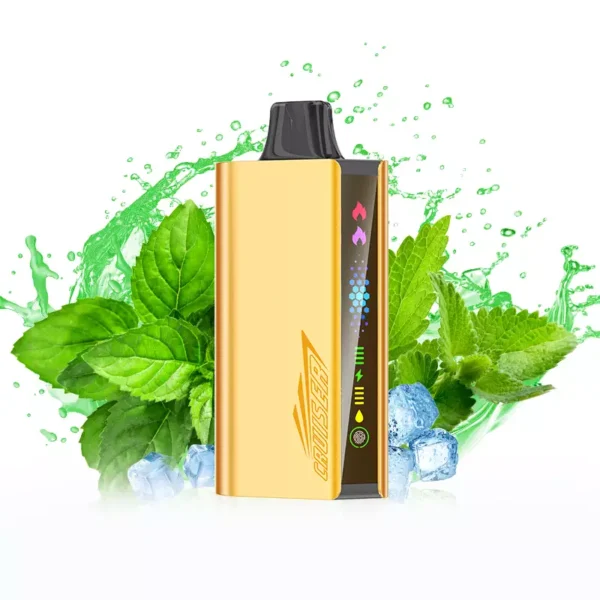 JNR Cruiser 12000 Puffs – Cool Mint