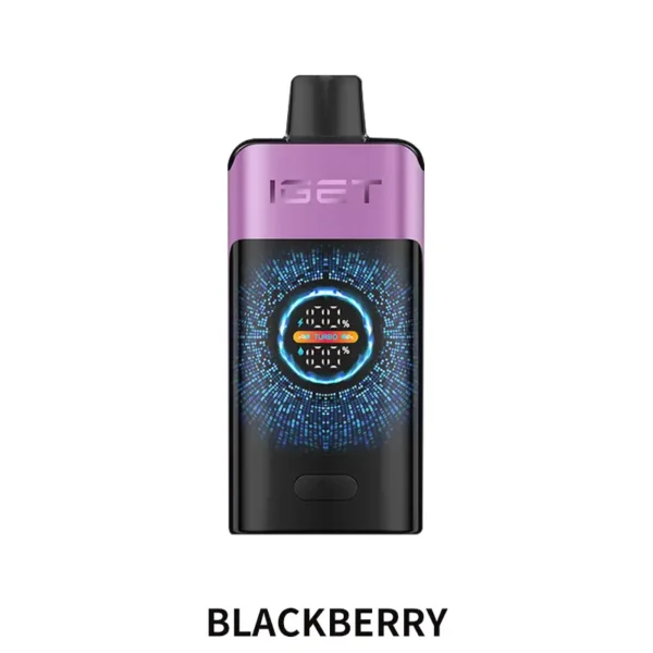 IGET ONE 12000 Puffs – Chuppa Chupps Blackberry