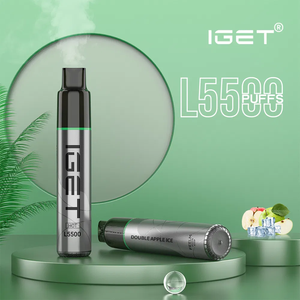 Wholesale collection of IGET Hot L5500 disposable vapes