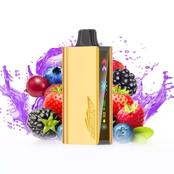 JNR Cruiser 12000 Puffs – Mixed Berry