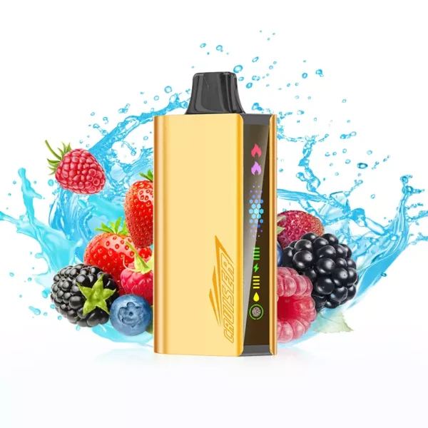 JNR Cruiser 12000 Puffs – Quadruple Berry