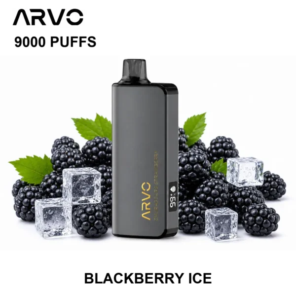 ARVO 9000 PUFFS – Blackberry Ice