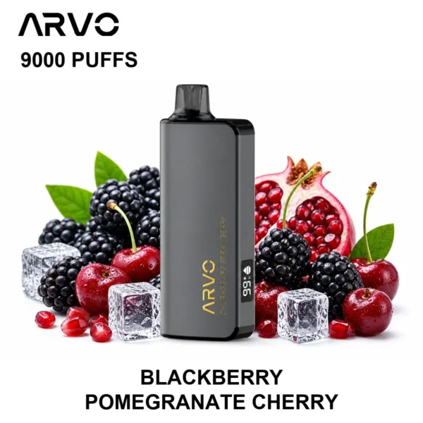 ARVO 9000 PUFFS – Blackberry Pomegranate Cherry